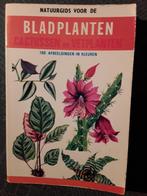 Bladplanten, plantenrijk, natuurgids niet-bloeiende planten, Boeken, Natuur, Gelezen, Ophalen of Verzenden