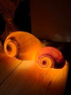Schelpenlamp schelpen lamp sfeerlamp nachtlampje kinderlamp, Huis en Inrichting, G, Nieuw, Ophalen of Verzenden, D