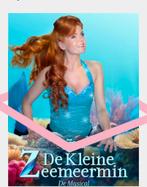 1 kaartje Musical de kleine zeemeermin 22juni 11:30 uur, Eén persoon