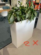 Pedralli Kado 2 Plantenbakken - Showmodel, Tuin en Terras, Ophalen, Kunststof, Minder dan 30 cm, Zo goed als nieuw