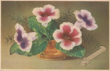 BLOEM BLOEMEN UIT 1952  ZEER MOOIE OUDE KAART KG959. beschikbaar voor biedingen