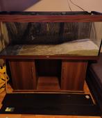 Juwel Rio 450 met onderkast, Dieren en Toebehoren, Vissen | Aquaria en Toebehoren, Ophalen, Zo goed als nieuw, Leeg aquarium