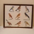Geborduurde vogels ingelijst, Ophalen, Minder dan 50 cm, Zo goed als nieuw, Minder dan 50 cm