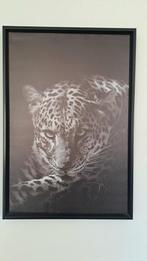 Zwart-wit schilderij van een panter, Ophalen