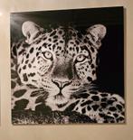 Plexiglas schilderij, Ophalen