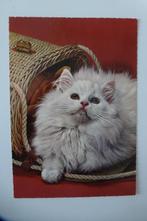 ansicht poes, Ophalen, 1960 tot 1980, Ongelopen, Overige thema's