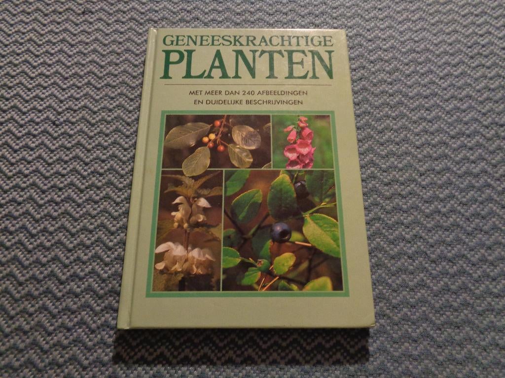 Geneeskrachtige PLANTEN, Ophalen of Verzenden, Nieuw, Bloemen, Planten en Bomen