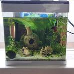 Superfish panorama aquarium, Ophalen of Verzenden, Gebruikt, Leeg aquarium