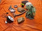 Terrarium assesoires., Dieren en Toebehoren, Reptielen en Amfibieën | Toebehoren, Ophalen of Verzenden, Zo goed als nieuw, Terrarium of Paludarium