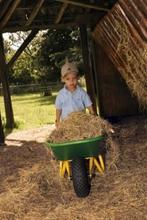 kinderkruiwagen berg en dino, rood/zwart, groen/geel, Ophalen of Verzenden, Nieuw