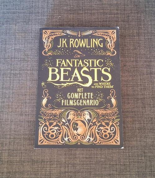 Fantastic Beasts and where to find them JK Rowling, Verzamelen, Harry Potter, Gebruikt, Boek of Poster, Ophalen of Verzenden