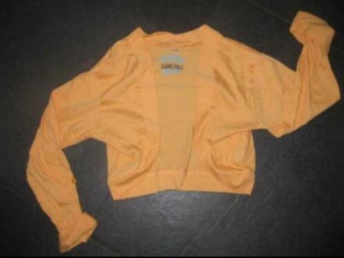 NIEUW oranje vestje , maatje 158 164, Kinderen en Baby's, Kinderkleding | Maat 158, Nieuw, Meisje, Trui of Vest, Ophalen