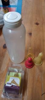 Leplamfles, Dieren en Toebehoren, Schapen, Geiten en Varkens, Mannelijk