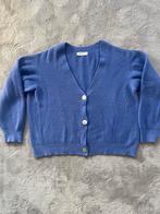 Paars vestje Alexandre Laurent - Maat M, Kleding | Dames, Maat 38/40 (M), Paars, Alexandre Laurent, Ophalen of Verzenden