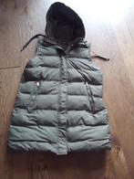 nieuwe taupe/ groen kleurige Zara bodywarmer XL, Kleding | Dames, Bodywarmers, Zara, Maat 46/48 (XL) of groter, Nieuw, Ophalen of Verzenden