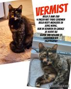 Bella vermist