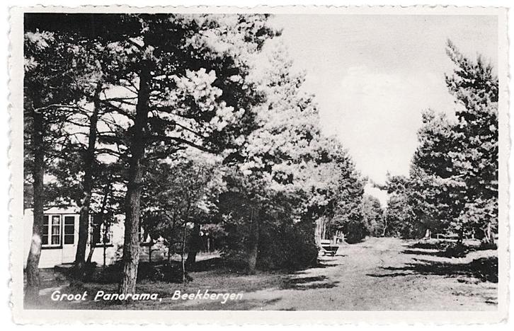 970382 Beekbergen Gld 1952 Groot Panorama Postzegel afgew, Verzamelen, Ansichtkaarten | Nederland, Gelopen, Gelderland, 1940 tot 1960