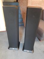 BNS Soundcolumn 2 E / II E, Audio, Tv en Foto, Luidsprekers, Zo goed als nieuw, 60 tot 120 watt, Front, Rear of Stereo speakers