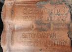 50 Dakpannen  0,75 eurocent p/s. Of 50 voor €35, Doe-het-zelf en Verbouw, Dakpannen en Dakbedekking, Ophalen of Verzenden, Steen of Klei