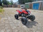 Bashan 200cc met kenteken.