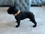 Richmond “ Dog spike black” , franse bulldog beeld, Ophalen, Zo goed als nieuw, Dier