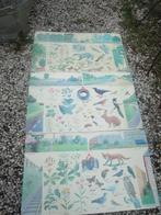 3 verschillende schoolplaten, Ophalen of Verzenden, Natuur en Biologie