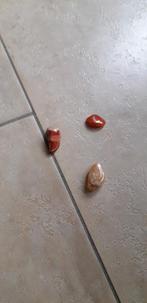 3 mineralen  voor€1,50, Ophalen of Verzenden, Overige typen