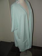 Nieuw! Bonita vest maat XL- maat 44/46, Kleding | Dames, Bonita, Ophalen of Verzenden, Nieuw, Maat 42/44 (L)