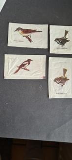 Vogels 4 stuks - Gewone Hollandse met andere benaming., Verzenden, Nederland