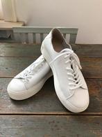 NIEUW ROYAL REPUBLIQ SCHOENEN SNEAKERS WIT LEER 36, Wit, Nieuw, Ophalen of Verzenden, Sneakers of Gympen