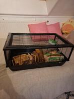 Hamster (knaagdieren) kooi incl accessoires, Kooi, Gebruikt, Hamster, Ophalen