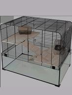 Hamsterkooi Interzoo met glazen bak, Dieren en Toebehoren, Knaagdieren, Geslacht onbekend, Hamster, Na 1 juli 2024