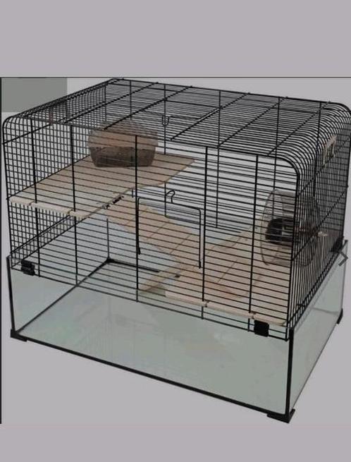 Hamsterkooi Interzoo met glazen bak, Dieren en Toebehoren, Knaagdieren, Geslacht onbekend, Hamster