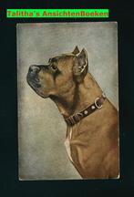 Prachtige ansichtkaart Hond (HO-01), Verzenden, 1920 tot 1940, Ongelopen, Overige thema's