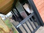 Paddock paradise naast natuurgebied pony stalling