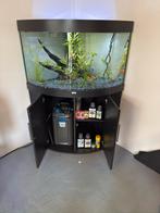 Prachtige Juwel trigon 190 hoek aquarium, Dieren en Toebehoren, Vissen | Aquaria en Toebehoren, Ophalen, Zo goed als nieuw, Leeg aquarium