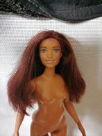 Curvi barbie poppen, Ophalen of Verzenden, Zo goed als nieuw