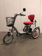 Driewiel scootmobielfiets | Van Raam Easy Go, Ophalen of Verzenden, Gebruikt, Van Raam