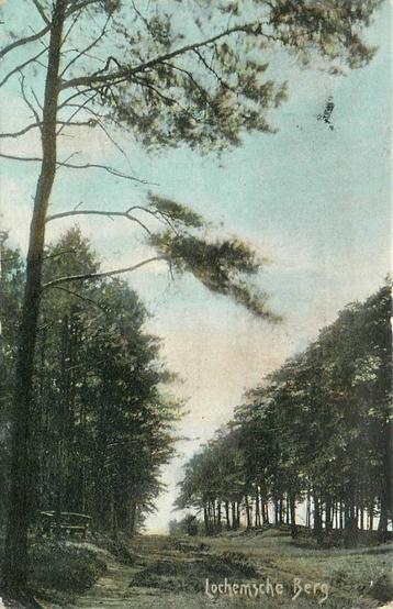 (387-148-021) Lochem Lochemsche Berg beschikbaar voor biedingen