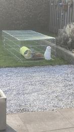 Ren voor konijnen, cavia’s of kippen, Dieren en Toebehoren, 110 cm of meer, Cavia, Zo goed als nieuw, Ren