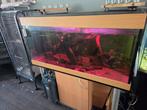 Aquarium 450L, Dieren en Toebehoren, Vissen | Aquaria en Toebehoren, Ophalen, Zo goed als nieuw, Leeg aquarium