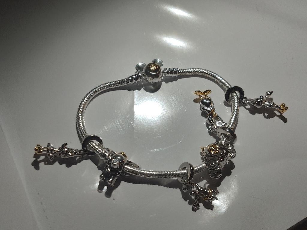 Disney 100 collectie armband met bedels, Sieraden, Tassen en Uiterlijk, Bedels, Overige merken, Nieuw, Ophalen of Verzenden, 4 bedels of meer
