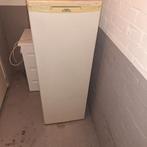 Everglades Vrieskast EVFR506 - (bezorging), Gebruikt, Minder dan 60 cm, Energieklasse A of zuiniger, 140 tot 160 cm