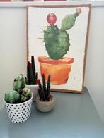 Cactus schilderij, Ophalen of Verzenden, Zo goed als nieuw