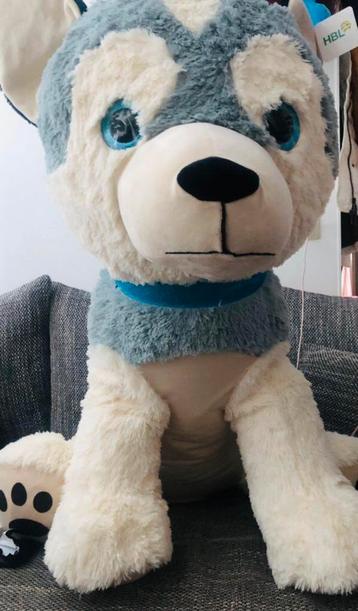 Grote beren hond te koop.  beschikbaar voor biedingen