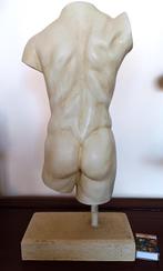 Mannelijke torso  op sokkel, Antiek en Kunst, Kunst | Beelden en Houtsnijwerken, Ophalen of Verzenden