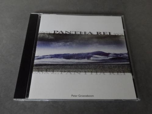 Peter Groeneboom / Pantha Rei - CD, Cd's en Dvd's, Cd's | Jazz en Blues, Verzenden