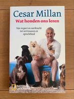 Cesar Millan - Wat honden ons leren, Honden, Cesar Millan, Ophalen of Verzenden, Zo goed als nieuw