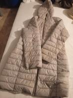 Jasje, Kleding | Dames, Bodywarmers, Ophalen of Verzenden, Gedragen, Wit