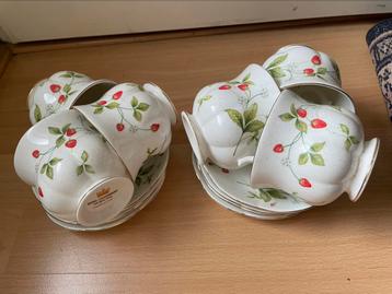 6x set Royal Canterbury kop en schotel- Bone China-Engeland